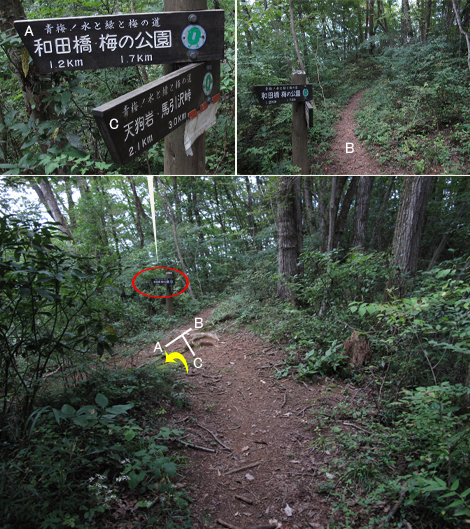 20161007hike (216)